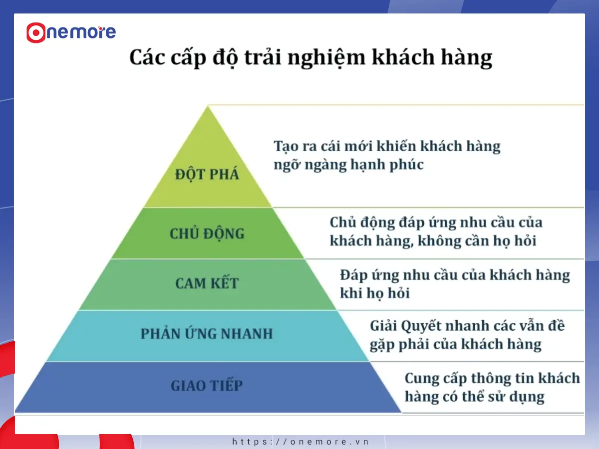 Thiếu trải nghiệm thực tế và kiến thức